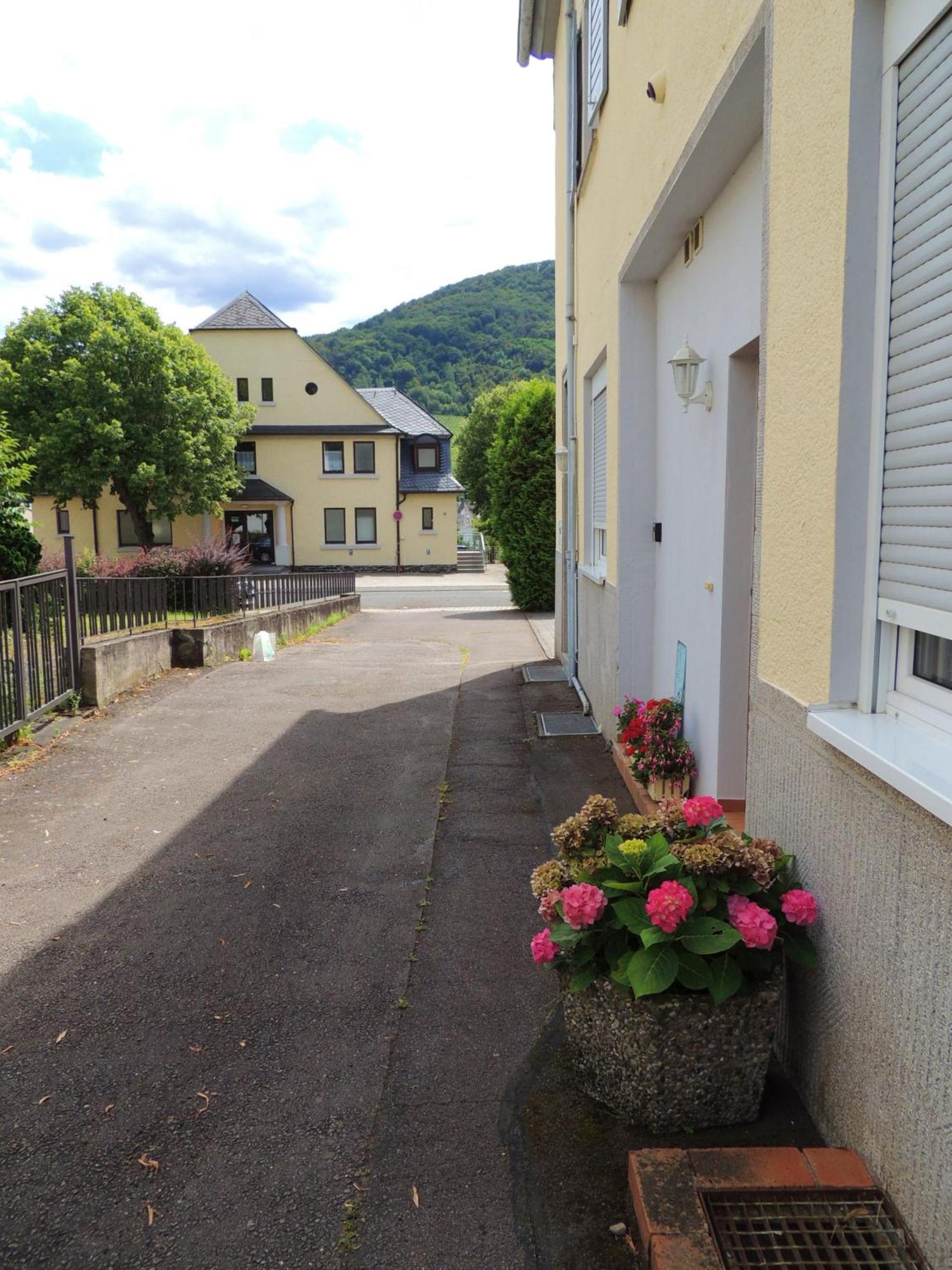 Ferienwohnung Afrika Bernkastel-Kues Exteriör bild